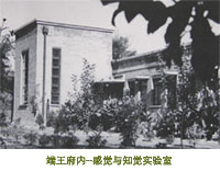 中科院心理研究所证书有用吗